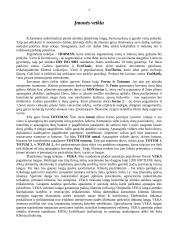 Įmonės steigimas: R. Jarošiaus IĮ 3 puslapis