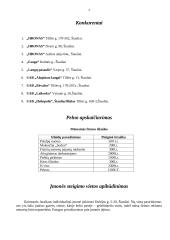 Įmonės steigimas: R. Jarošiaus IĮ 4 puslapis