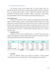 Įmonės strateginis valdymas: UAB "Panevėžio statybos trestas" 18 puslapis