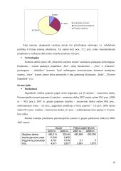 Įmonės strateginis valdymas: UAB "Panevėžio statybos trestas" 19 puslapis
