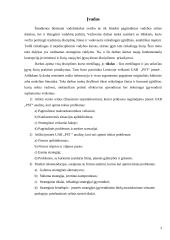 Įmonės strateginis valdymas: UAB "Panevėžio statybos trestas" 3 puslapis