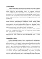 Įmonės strateginis valdymas: UAB "Panevėžio statybos trestas" 5 puslapis