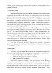 Įmonės strateginis valdymas: UAB "Panevėžio statybos trestas" 6 puslapis
