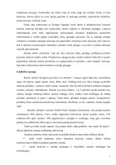 Įmonės strateginis valdymas: UAB "Panevėžio statybos trestas" 7 puslapis