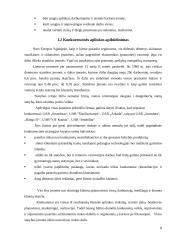 Įmonės strateginis valdymas: UAB "Panevėžio statybos trestas" 8 puslapis
