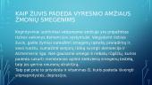 Ar žuvis tai vyresnio amžiaus žmonių smegenų maistas? 4 puslapis