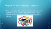 Ar žuvis tai vyresnio amžiaus žmonių smegenų maistas? 5 puslapis