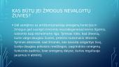 Ar žuvis tai vyresnio amžiaus žmonių smegenų maistas? 6 puslapis