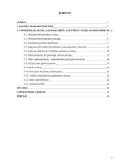 Įmonės veiklos dokumentai: VĮ "Jaunimo idėjų agentūra" 2 puslapis