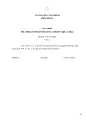 Įmonės veiklos dokumentai: VĮ "Jaunimo idėjų agentūra" 12 puslapis