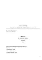 Įmonės veiklos dokumentai: VĮ "Jaunimo idėjų agentūra" 7 puslapis