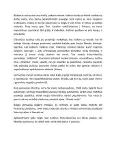 Justino Marcinkevičiaus asmenybė ir gyvenimas 2 puslapis