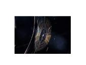 Viskas apie šviesos difrakciją 16 puslapis