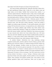 Indijos subkontinentas 8 puslapis