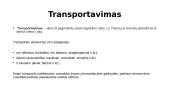 Transportas, pakavimas, 6 sigmos 2 puslapis