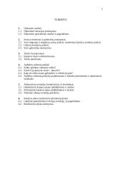 Individualios karjeros planas 2 puslapis