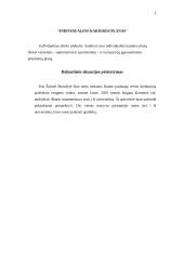 Individualios karjeros planas 3 puslapis