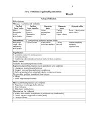 Individualios karjeros planas 4 puslapis