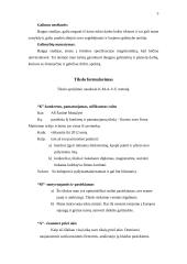 Individualios karjeros planas 5 puslapis