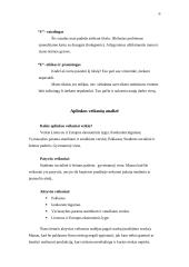 Individualios karjeros planas 6 puslapis