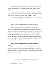 Individualios karjeros planas 7 puslapis