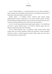 Valstybės biudžetas 2017-2019 m. 12 puslapis