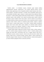 Valstybės biudžetas 2017-2019 m. 5 puslapis