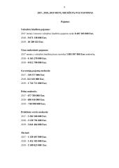 Valstybės biudžetas 2017-2019 m. 9 puslapis