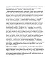 Asmeninės laimės ir įsipareigojimo problematika lietuvių literatūroje 2 puslapis