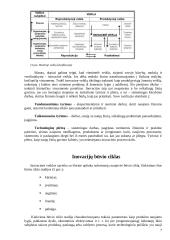 Inovacijų reikšmė ir apibūdinimas 7 puslapis