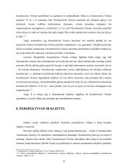 Konstitucinio Teismo priimtų nutarimų problematiškumas 19 puslapis