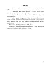 Investicijų priklausomybė apyvartai: mobiliojo ryšio bendrovė "BITĖ Lietuva" 2 puslapis