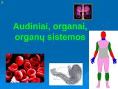 Audiniai, organai, organų sistemos  