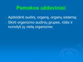 Audiniai, organai, organų sistemos   2 puslapis