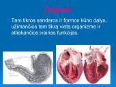 Audiniai, organai, organų sistemos   11 puslapis