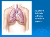 Audiniai, organai, organų sistemos   13 puslapis