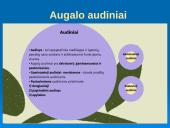 Audiniai, organai, organų sistemos   20 puslapis