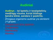 Audiniai, organai, organų sistemos   3 puslapis