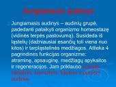 Audiniai, organai, organų sistemos   5 puslapis