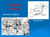 Audiniai, organai, organų sistemos   8 puslapis