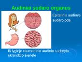 Audiniai, organai, organų sistemos   9 puslapis