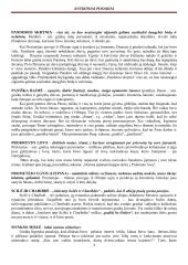 Antikiniai posakiai su paaiškinimais 3 puslapis