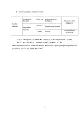 Investicinio projekto parengimas: patalynės komplektų, pagalvių, lovatiesių ir antklodžių gamyba UAB "Saldus miegas" 16 puslapis
