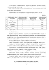 Investicinio projekto parengimas: patalynės komplektų, pagalvių, lovatiesių ir antklodžių gamyba UAB "Saldus miegas" 3 puslapis