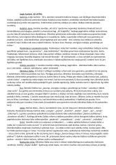 Juozas Aputis „Autorius ieško išeities“ interpretacija 3 puslapis