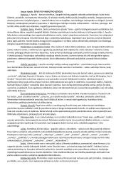 Juozas Aputis „Autorius ieško išeities“ interpretacija 4 puslapis