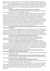 Šeimos gyvenimas novelėje „Dobilė. 1954 metų naktį” 2 puslapis