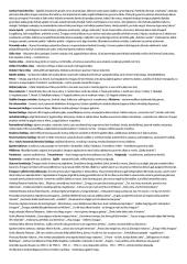 Literatūros egzaminui pasiruošti 2 puslapis