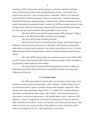 Išorinė aplinka: telekomunikacijos UAB "Bitė" 4 puslapis