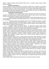 H. Radauskas biografija 2 puslapis